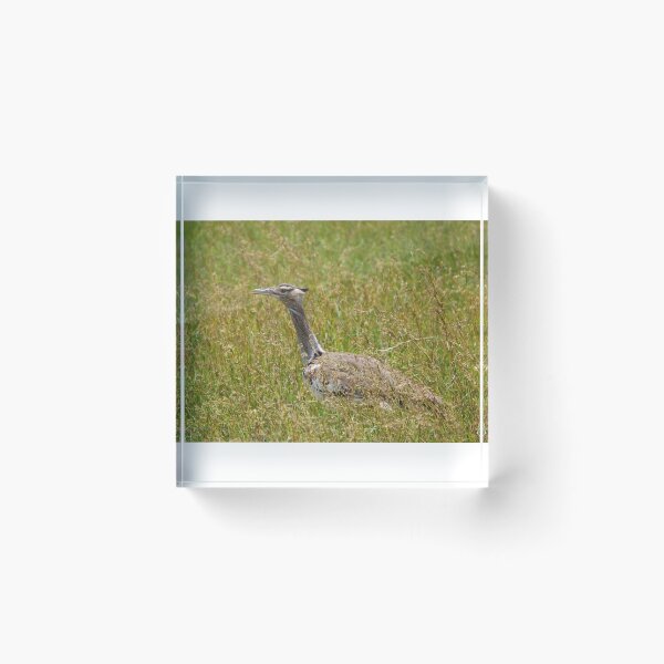 Item preview, Kori bustard designed and sold by David JC.