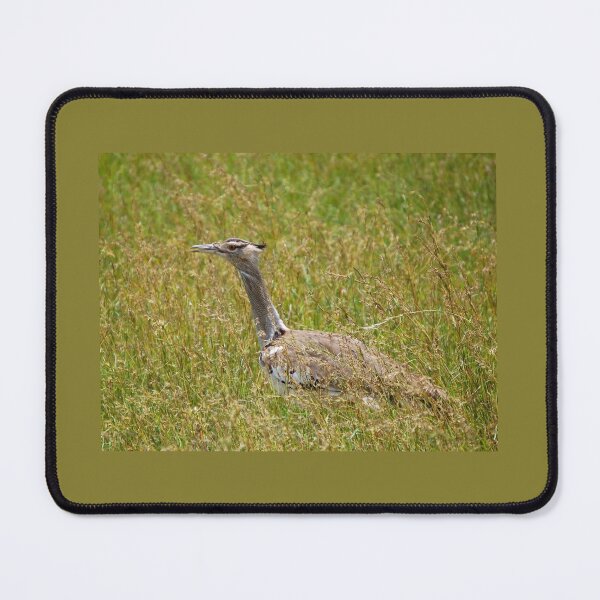 Item preview, Kori bustard designed and sold by David JC.