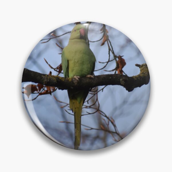 Item preview, The Proud Parakeet designed and sold by Ag-Vulture.