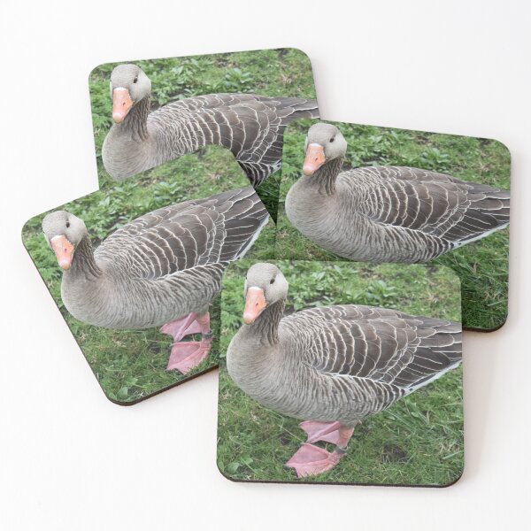 Item preview, Greylag Matters designed and sold by Ag-Vulture.