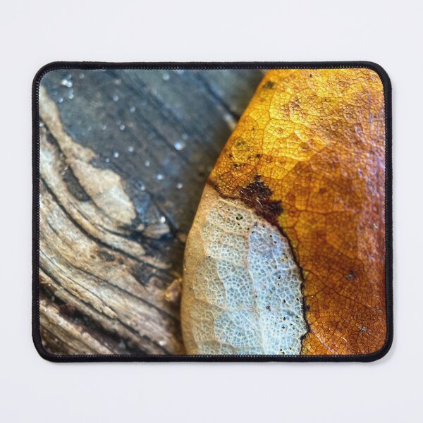Item preview, The End Of Fall designed and sold by Jason Tompkins.