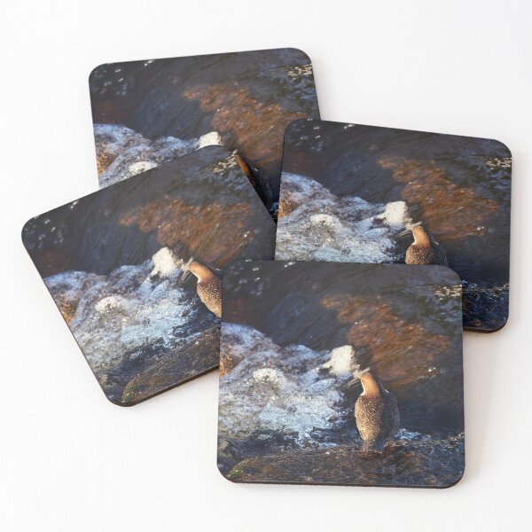 Item preview, To dive there is so refreshing. White-throated dipper designed and sold by Jouko Lehto Photography.