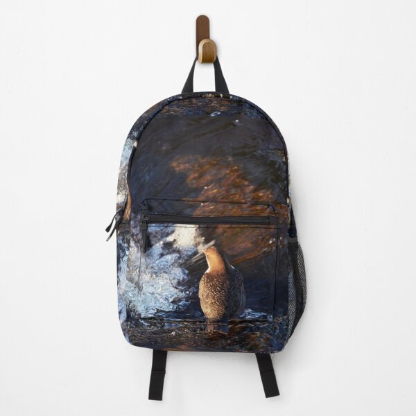 Item preview, To dive there is so refreshing. White-throated dipper designed and sold by Jouko Lehto Photography.