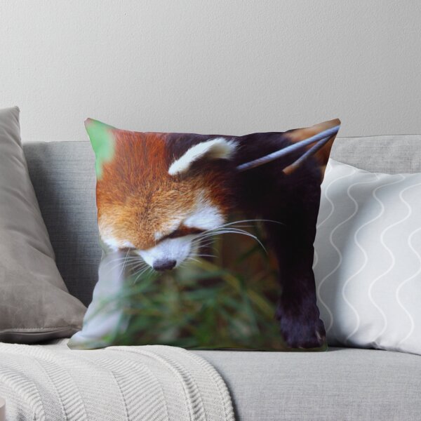 Item preview, Red panda alcanza designed and sold by magicmeese.