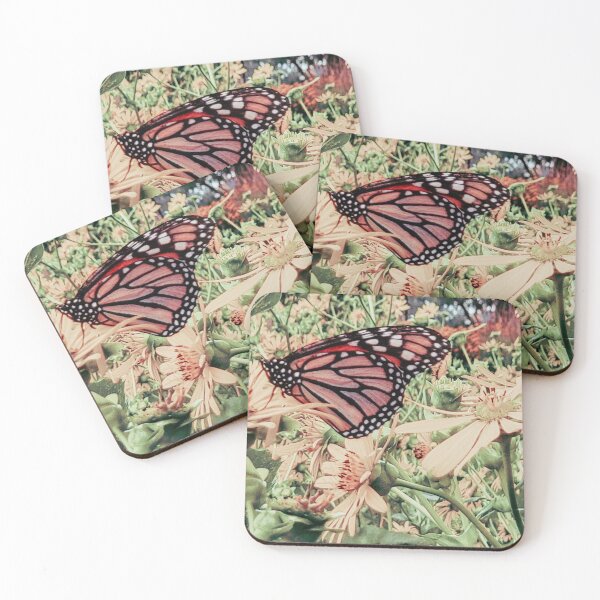Item preview, Butterfly In A Field Of Daisies Photography designed and sold by Jeda1429.