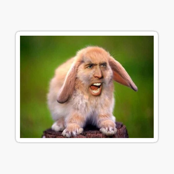 Item preview, Nicolas Cage Bunny Photoshop designed and sold by aliciahyde.