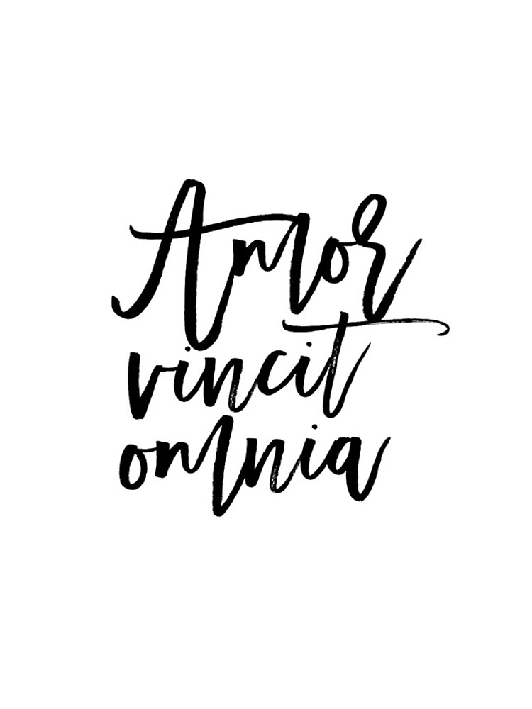 "AMOR VINCIT OMNIA Love Quote Love Sign Latin Saying Latin Words Inspirational Quote Gift For ...