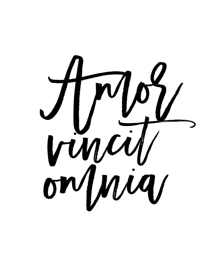 amor-vincit-omnia-love-quote-love-sign-latin-saying-latin-words