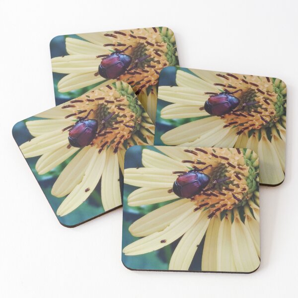 Item preview, Beetle On A a Daisy Photograph designed and sold by Jeda1429.