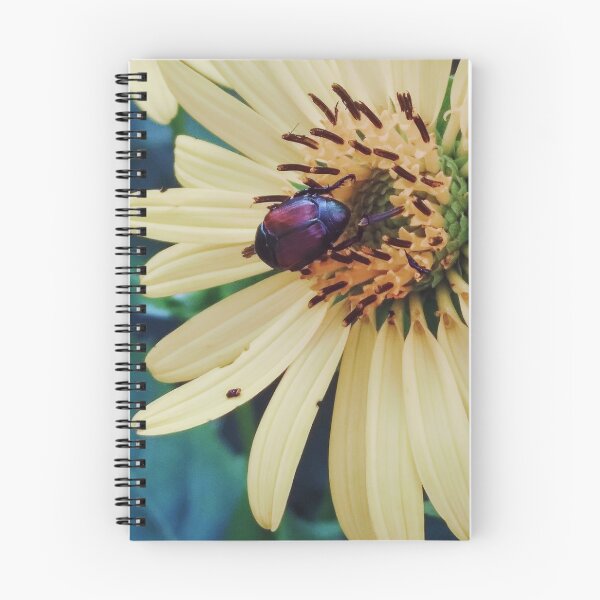 Item preview, Beetle On A a Daisy Photograph designed and sold by Jeda1429.