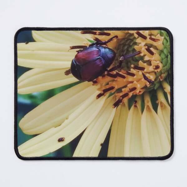 Item preview, Beetle On A a Daisy Photograph designed and sold by Jeda1429.