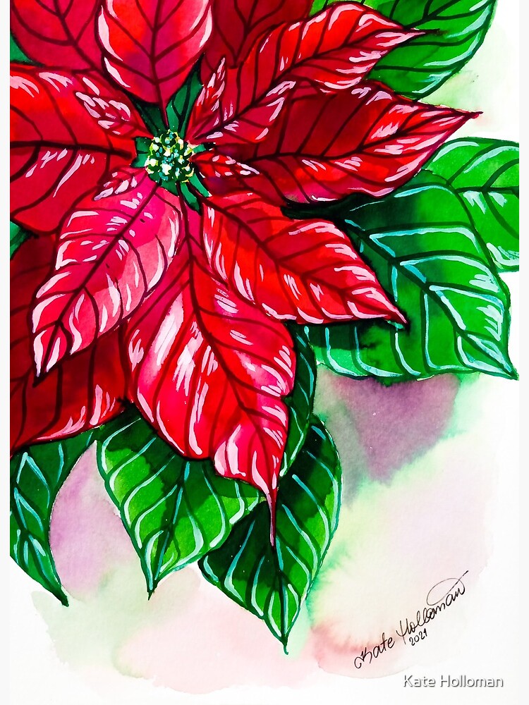 Popular Floral, Poinsettias, Christnas Plant, Original Watercolor Painting, Australian Hous and Garden, Chistmas Time, Unframed.