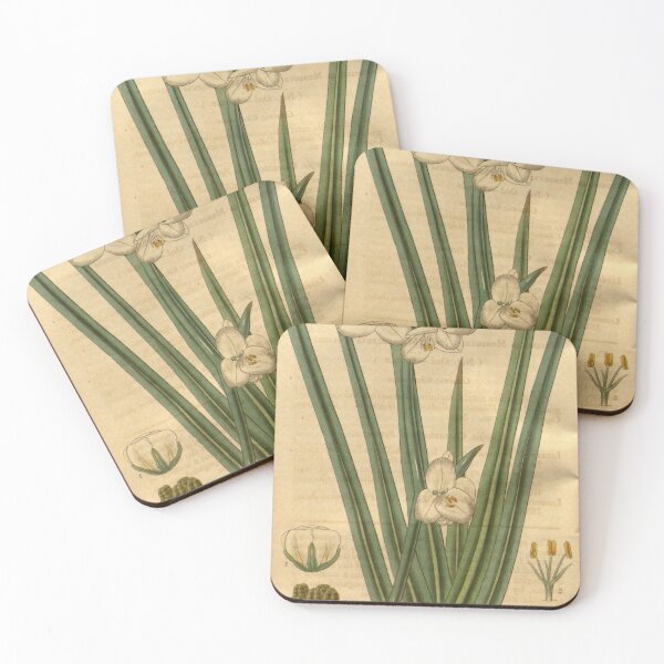 Item preview, Curtis's botanical magazine (Plate 3294) (8202146543) designed and sold by EsotericBotanic.