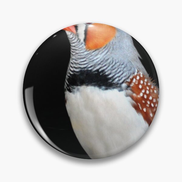 Item preview, Zebra Finch designed and sold by Laurie Minor.
