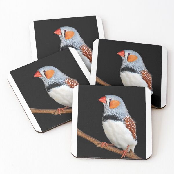 Item preview, Zebra Finch designed and sold by Laurie Minor.