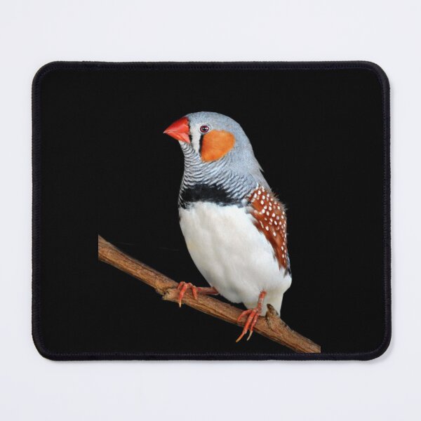 Item preview, Zebra Finch designed and sold by Laurie Minor.