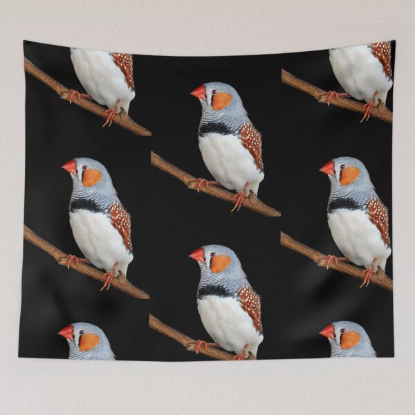 Item preview, Zebra Finch designed and sold by Laurie Minor.