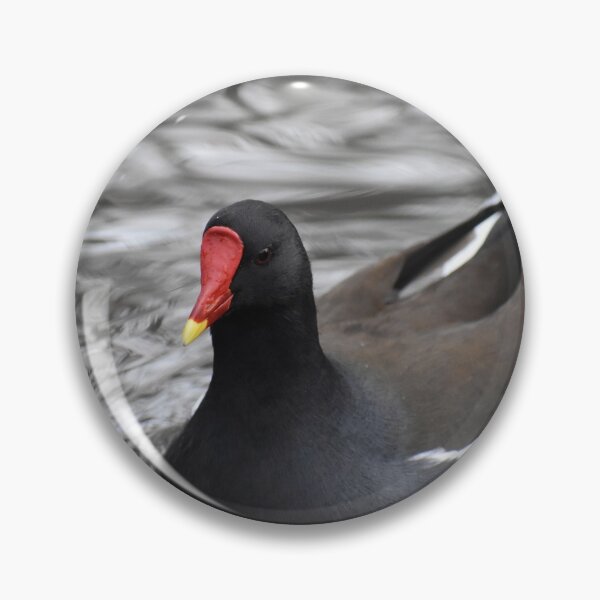 Item preview, Moorhen I designed and sold by Ag-Vulture.