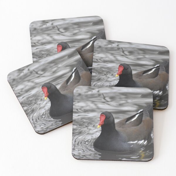 Item preview, Moorhen I designed and sold by Ag-Vulture.