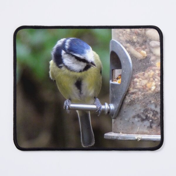 Item preview, blue tit designed and sold by KathleenDawson.