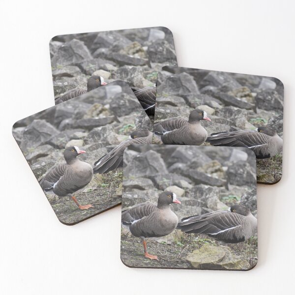 Item preview, Rocky Road designed and sold by Ag-Vulture.