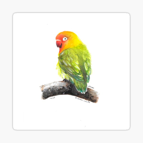 Item preview, Agapornis designed and sold by estudiomaranta.