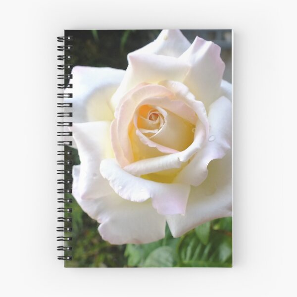 Item preview, Just a pretty rose.  designed and sold by sandysartstudio.