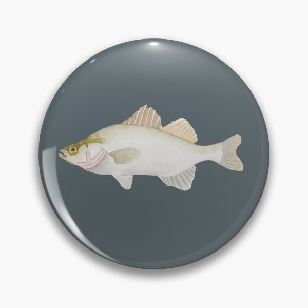 Item preview, White Perch watercolor fish species art designed and sold by TheWaterBirds.