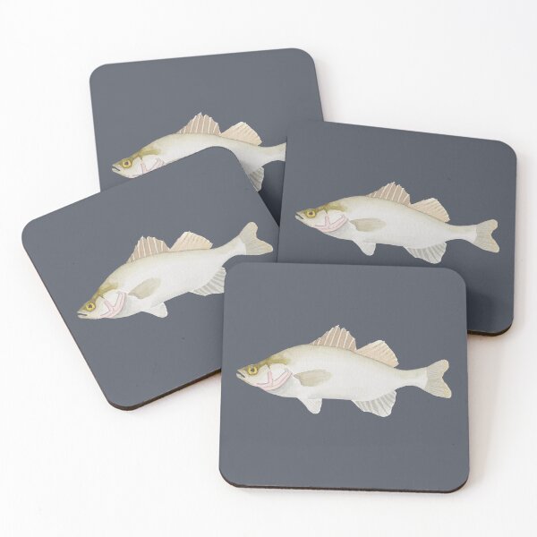 Item preview, White Perch watercolor fish species art designed and sold by TheWaterBirds.