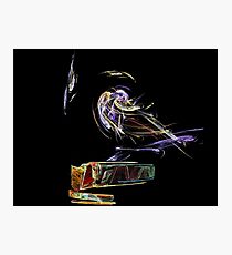 apophysis bird Photographic Print