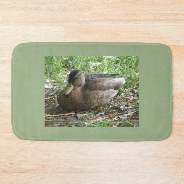 Item preview, Mallard Duck Resting Photograph designed and sold by naturegallery.