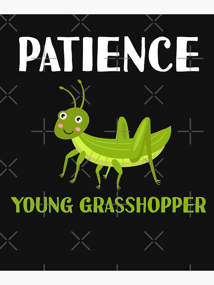 Patience Young Grasshopper Funny Meme Kawaii Grasshoppers | Poster
