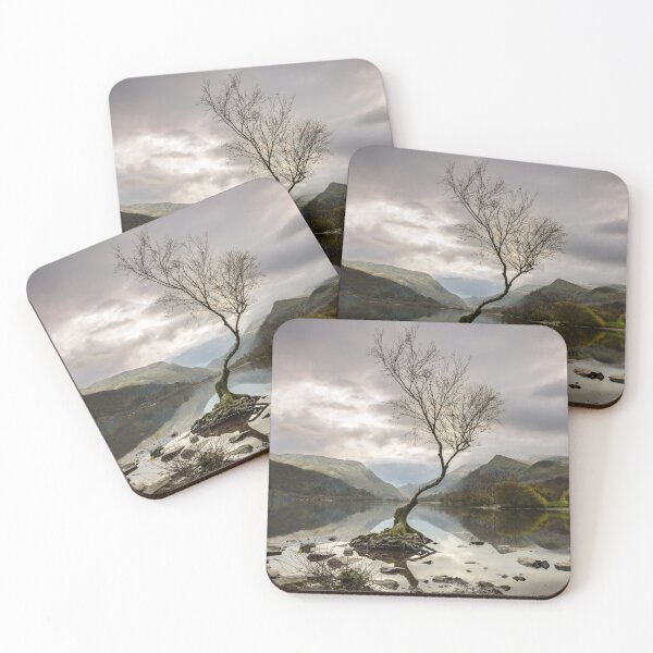 Item preview, Lone Tree at Llyn Padarn, Wales designed and sold by MargaretClavell.