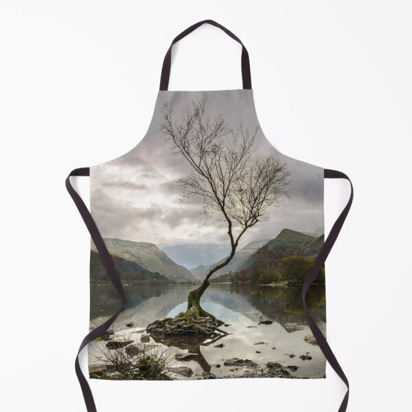Item preview, Lone Tree at Llyn Padarn, Wales designed and sold by MargaretClavell.