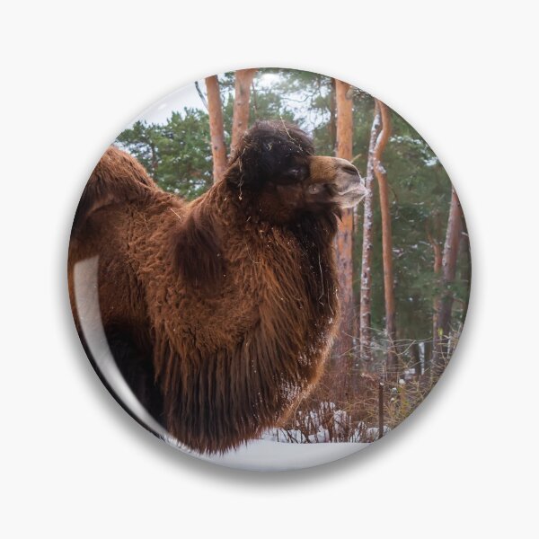 Item preview, Bactrian Camel in snowy environment. designed and sold by lena-maximova.