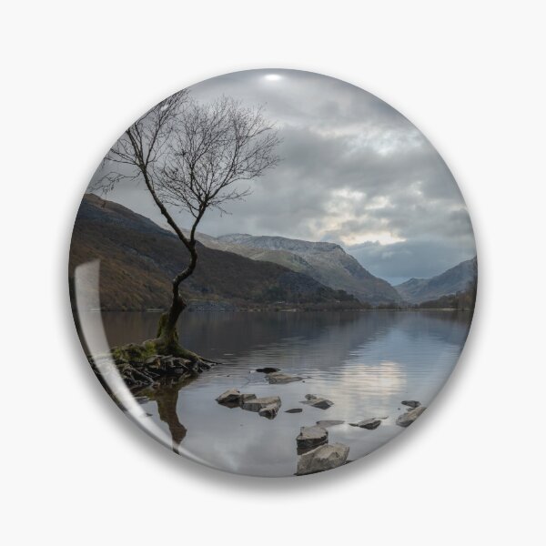 Item preview, Lone Tree at Llyn Padarn, Wales designed and sold by MargaretClavell.