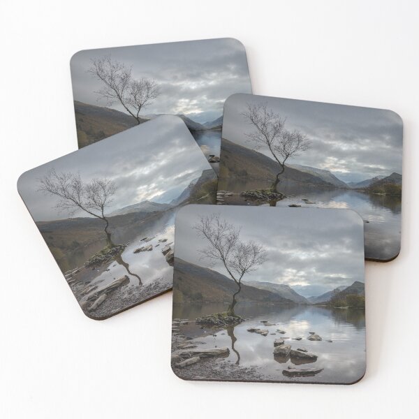 Item preview, Lone Tree at Llyn Padarn, Wales designed and sold by MargaretClavell.