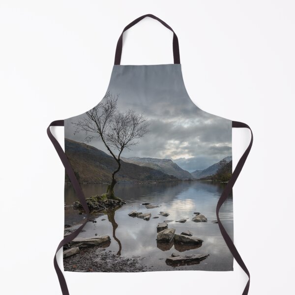 Item preview, Lone Tree at Llyn Padarn, Wales designed and sold by MargaretClavell.