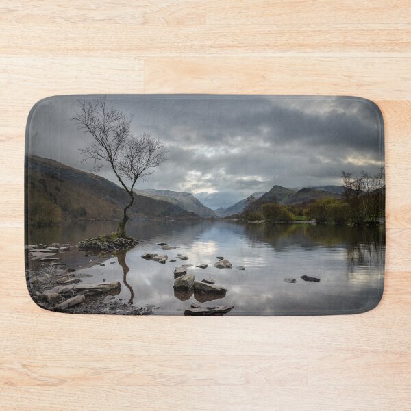 Item preview, Lone Tree at Llyn Padarn, Wales designed and sold by MargaretClavell.