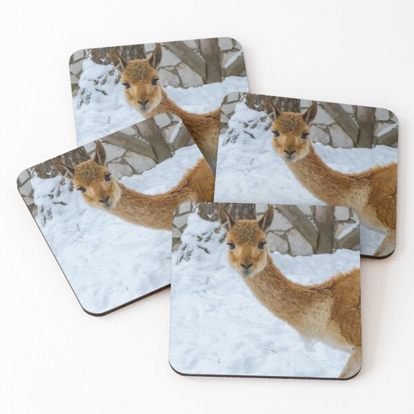 Item preview, Vicuna starring to the camera designed and sold by lena-maximova.