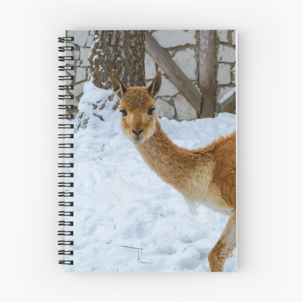 Item preview, Vicuna starring to the camera designed and sold by lena-maximova.