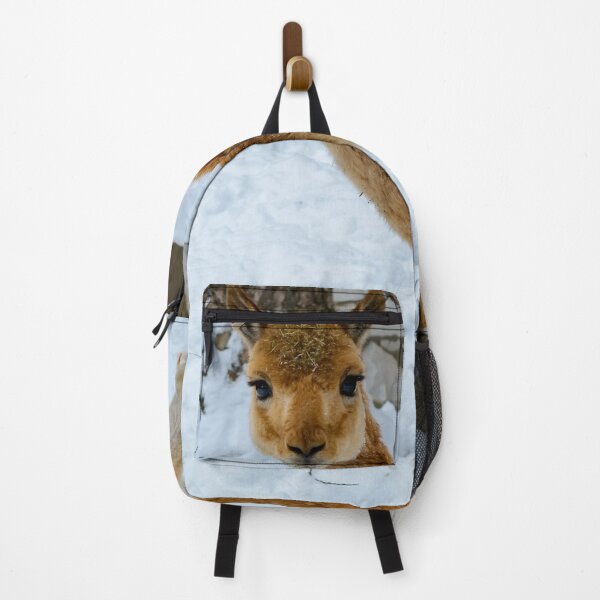 Item preview, Vicuna starring to the camera designed and sold by lena-maximova.
