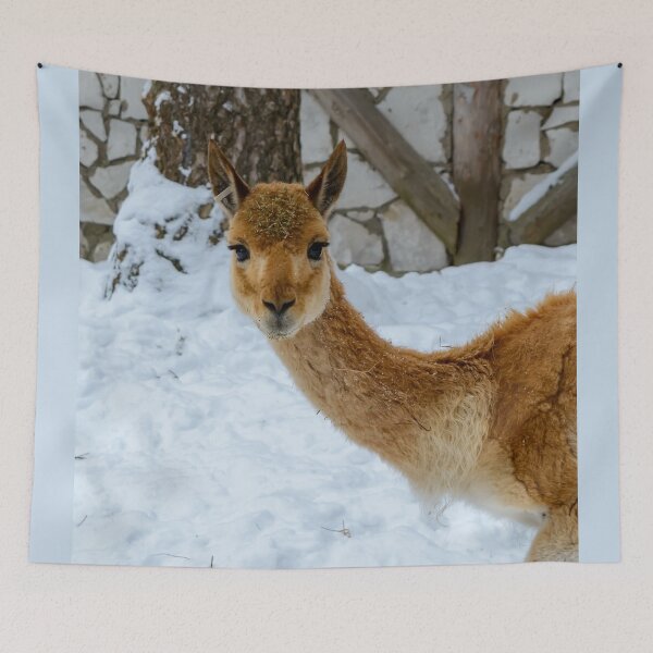 Item preview, Vicuna starring to the camera designed and sold by lena-maximova.