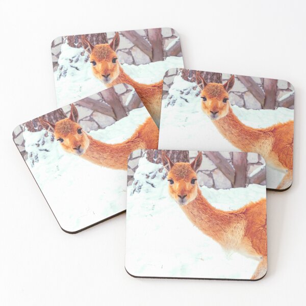 Item preview, Vicuna starring to the camera designed and sold by lena-maximova.