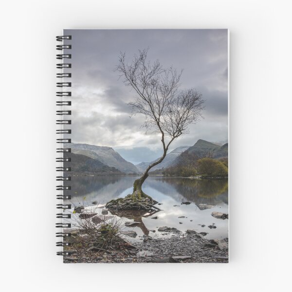 Item preview, Lone Tree en Llyn Padarn, Gales designed and sold by MargaretClavell.