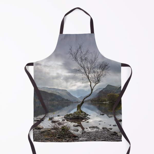 Item preview, Lone Tree at Llyn Padarn, Wales designed and sold by MargaretClavell.