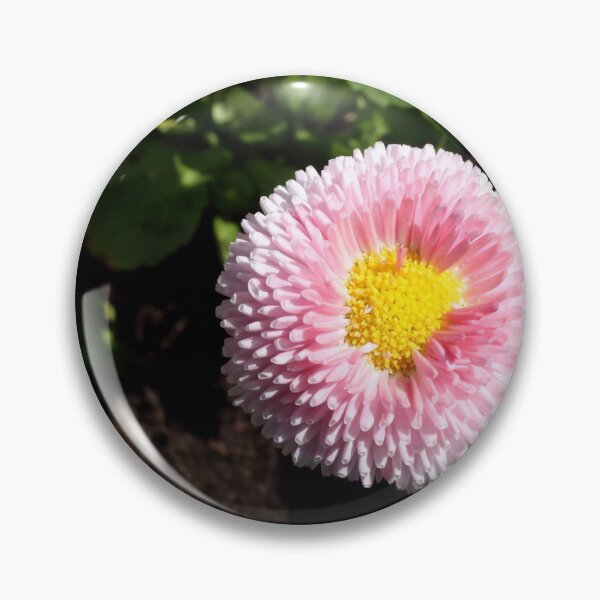 Item preview, Bellis Daisy. designed and sold by prestongeorge.
