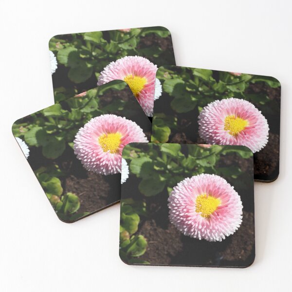 Item preview, Bellis Daisy. designed and sold by prestongeorge.