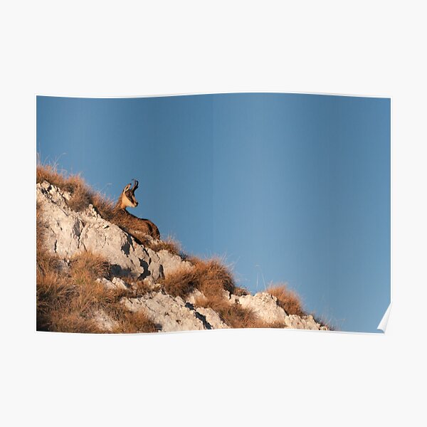 Sunbather Poster