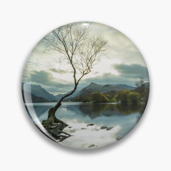 Item preview, Lone Tree at Llyn Padarn, Wales designed and sold by MargaretClavell.